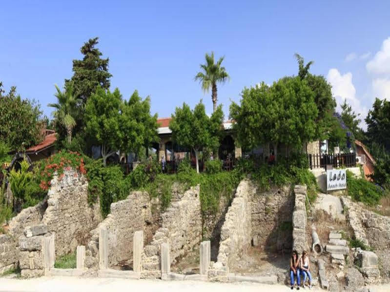 Hotel Leda Side